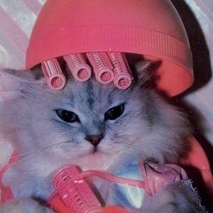 Meet your Posher, Lala